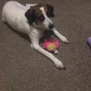 Meet your Posher, Pamela